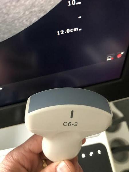 Philips  C6-2 Curved Array Probe