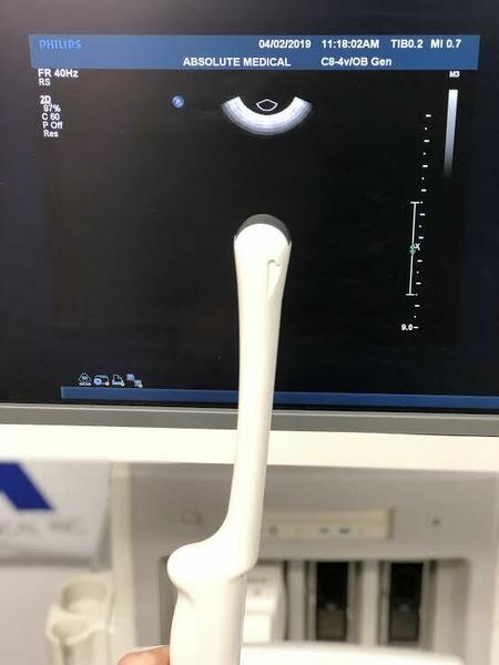 Philips  C8-4V Endocavitary Probe