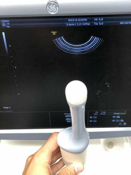 GE RIC5-9-D Endocavitary Probe
