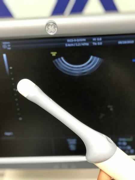 GE RIC5-9-D Endocavitary Probe
