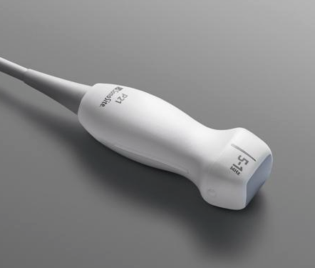 Sonosite P21x phased array ultrasound probe