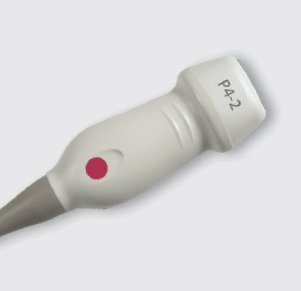 Siemens Acuson P4-2 phased array ultrasound probe