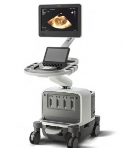Understanding Ultrasounds: Cardiac and Vascular Applications
