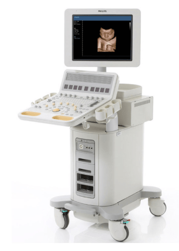 Understanding Transcranial Elastography and Stress Echo Applications