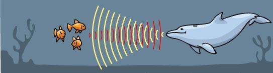 A Brief History of Ultrasounds