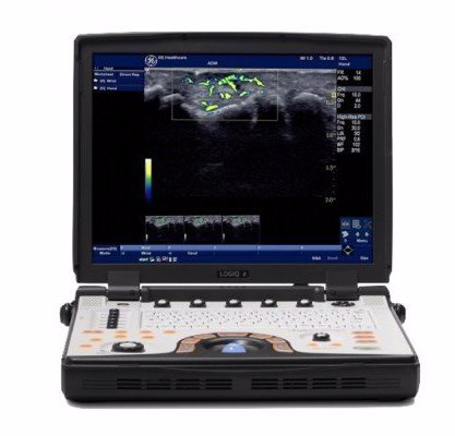 Featured Veterinary Ultrasounds