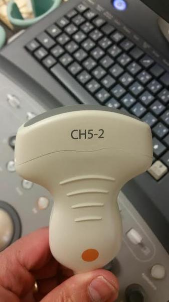 Acuson CH5-2 Curved Array Probe