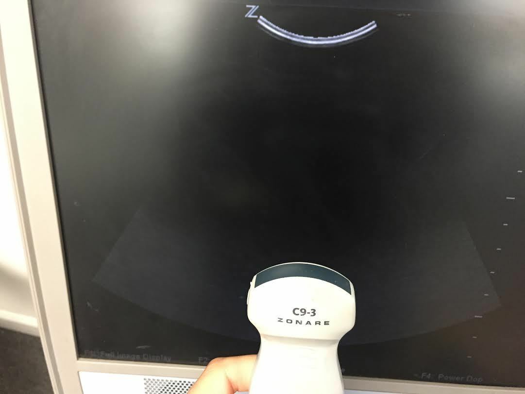 Zonare C9-3 Curved Array Ultrasound Probe