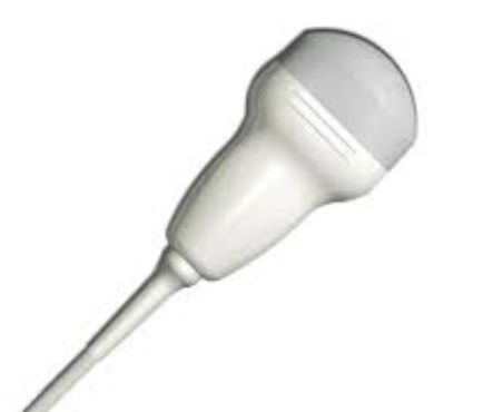 Esaote Biosound BC433 curved array ultrasound probe